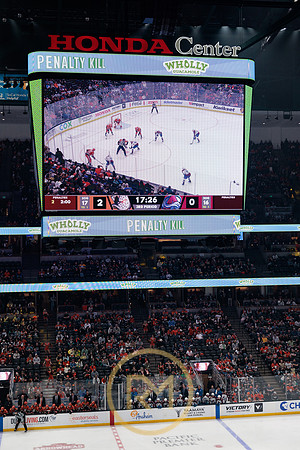 041325_ANAHEIM_DUCKS_341