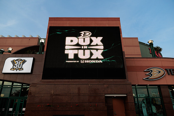 011824_ANAHEIM_DUCKS_0001