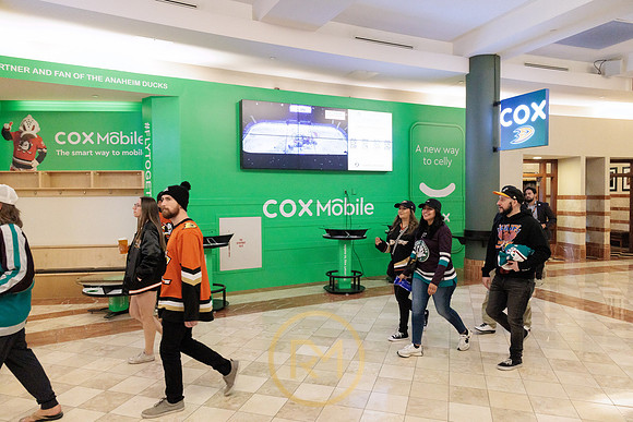 041325_ANAHEIM_DUCKS_066