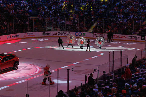 031125_ANAHEIM_DUCKS_1383