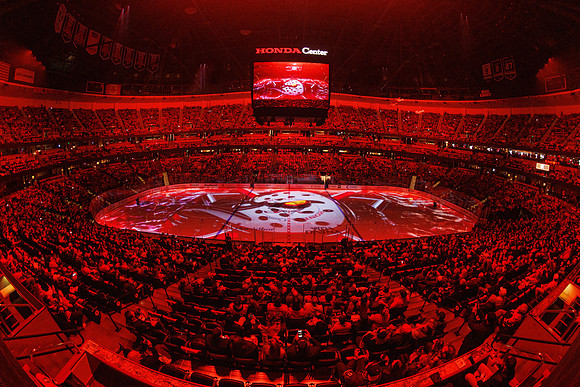 101624_ANAHEIM_DUCKS_0831