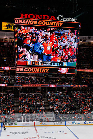 101624_ANAHEIM_DUCKS_0766