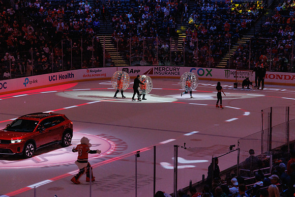 031125_ANAHEIM_DUCKS_1382