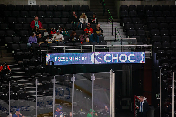 031024_ANAHEIM_DUCKS_0059
