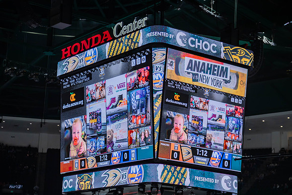 031024_ANAHEIM_DUCKS_0078