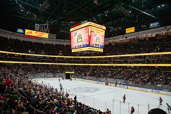 031024_ANAHEIM_DUCKS_0158