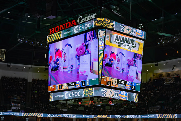 031024_ANAHEIM_DUCKS_0176