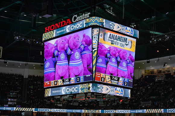031024_ANAHEIM_DUCKS_0177