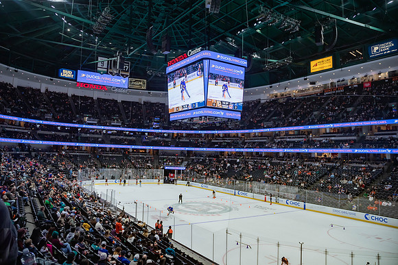 031024_ANAHEIM_DUCKS_0217
