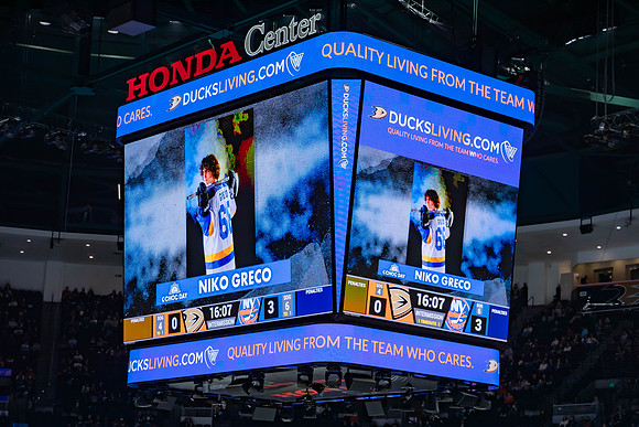 031024_ANAHEIM_DUCKS_0222