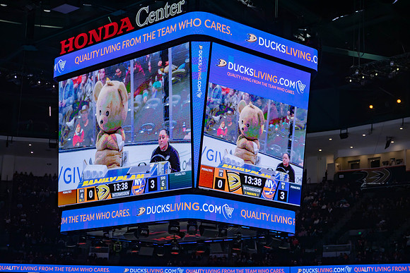 031024_ANAHEIM_DUCKS_0231