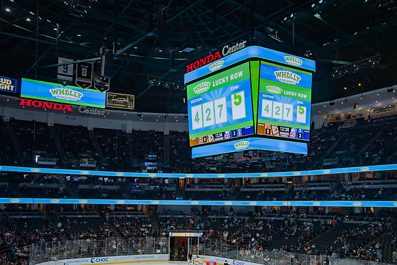 031024_ANAHEIM_DUCKS_0236