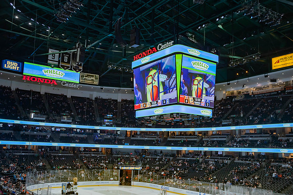 031024_ANAHEIM_DUCKS_0237