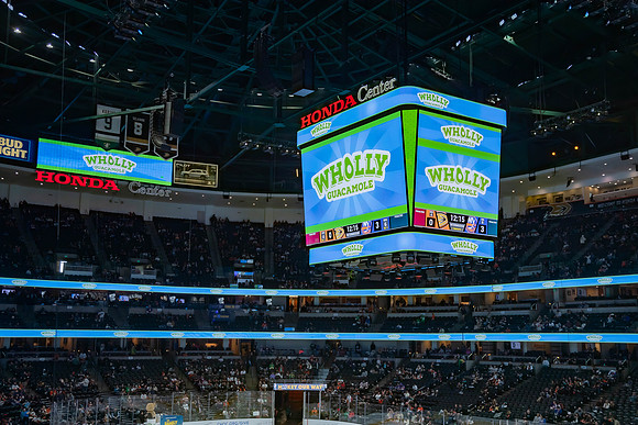 031024_ANAHEIM_DUCKS_0240