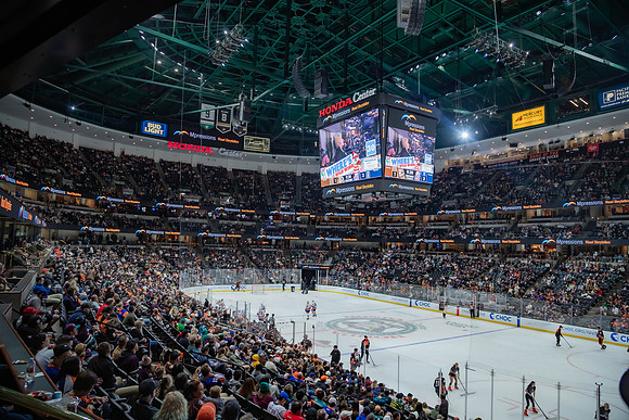 031024_ANAHEIM_DUCKS_0273