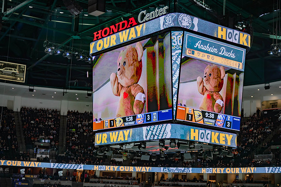 031024_ANAHEIM_DUCKS_0287