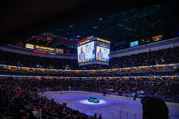 031024_ANAHEIM_DUCKS_0312
