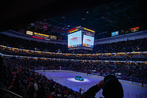 031024_ANAHEIM_DUCKS_0313