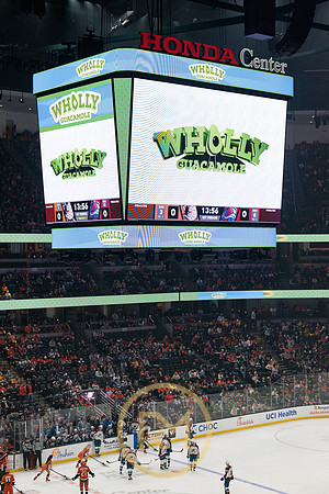 041325_ANAHEIM_DUCKS_087