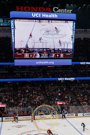 041325_ANAHEIM_DUCKS_369