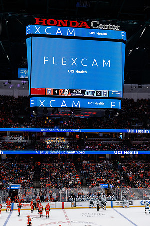 101624_ANAHEIM_DUCKS_0508