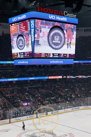 041325_ANAHEIM_DUCKS_079