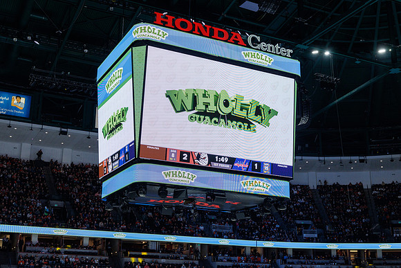 031125_ANAHEIM_DUCKS_1138