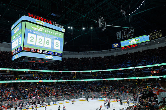 031125_ANAHEIM_DUCKS_1096