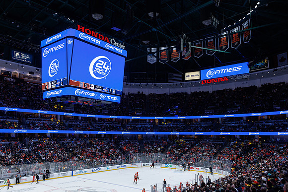 031125_ANAHEIM_DUCKS_1313