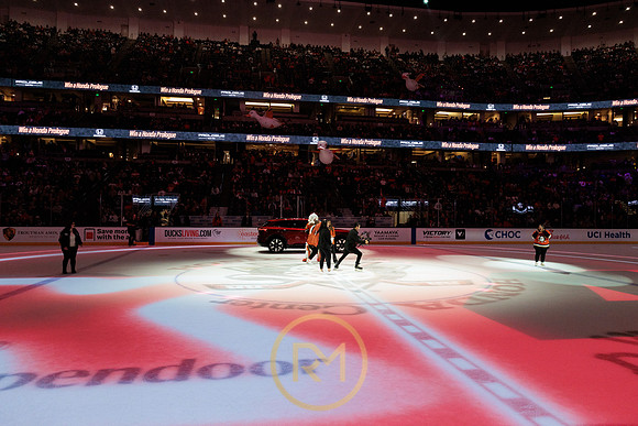 041325_ANAHEIM_DUCKS_283