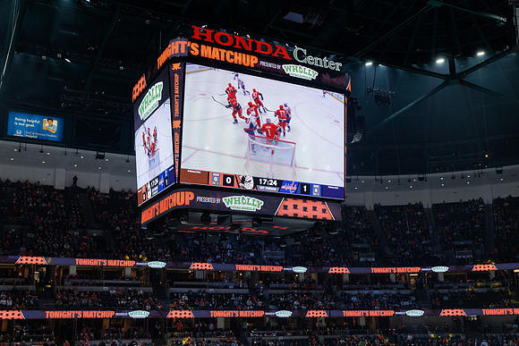 031125_ANAHEIM_DUCKS_0982