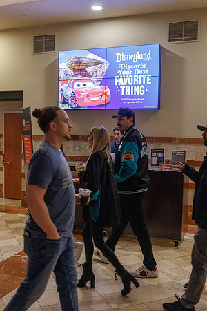031125_ANAHEIM_DUCKS_1633
