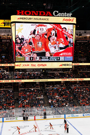 101624_ANAHEIM_DUCKS_0727