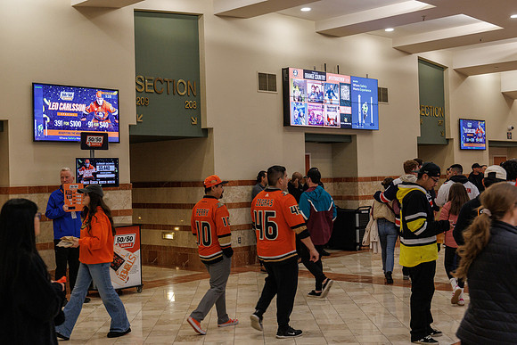 031125_ANAHEIM_DUCKS_0815