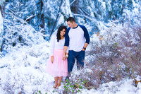ENGAGEMENT_022415_0018