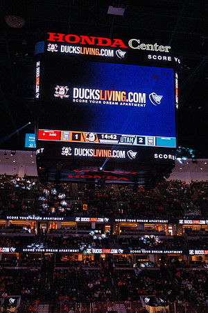101624_ANAHEIM_DUCKS_0549