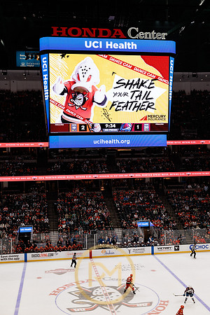041325_ANAHEIM_DUCKS_392