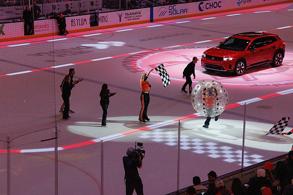 031125_ANAHEIM_DUCKS_1389