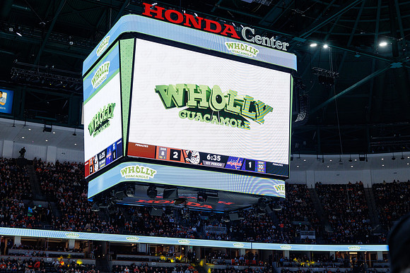 031125_ANAHEIM_DUCKS_1080