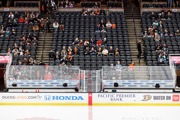 040524_ANAHEIM_DUCKS_0359