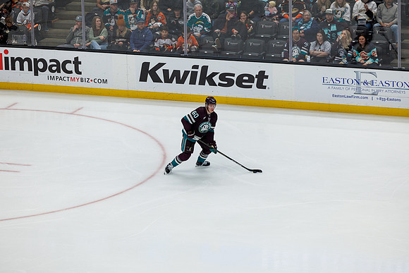 040524_ANAHEIM_DUCKS_0387