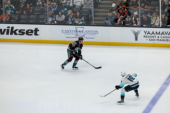 040524_ANAHEIM_DUCKS_0389