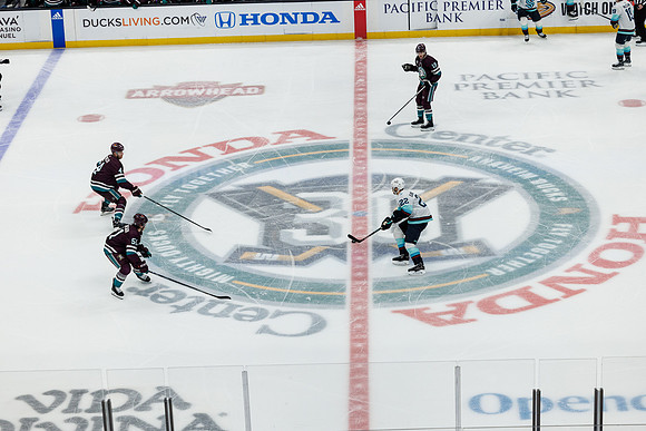 040524_ANAHEIM_DUCKS_0393