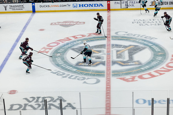 040524_ANAHEIM_DUCKS_0395
