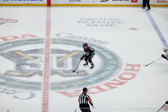 040524_ANAHEIM_DUCKS_0714