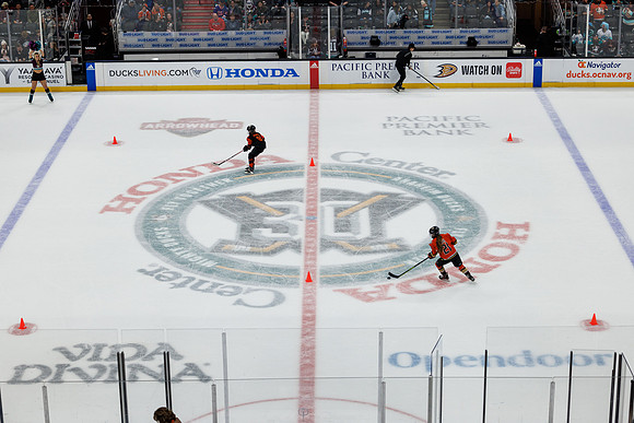 040524_ANAHEIM_DUCKS_0729