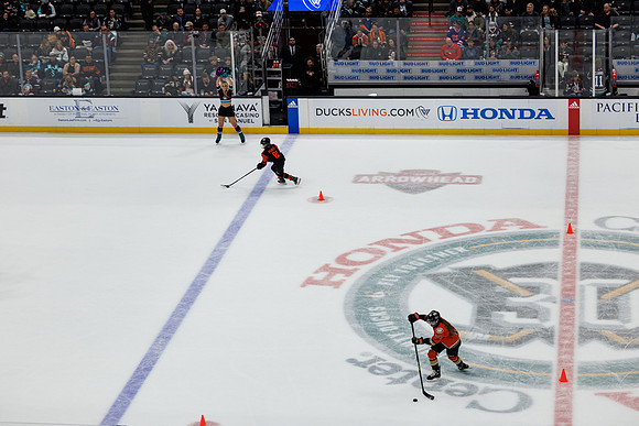 040524_ANAHEIM_DUCKS_0732
