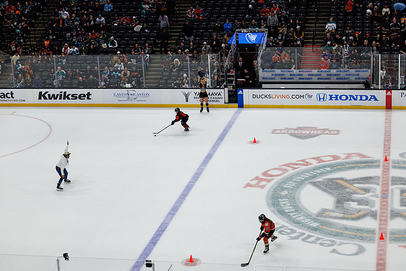 040524_ANAHEIM_DUCKS_0733