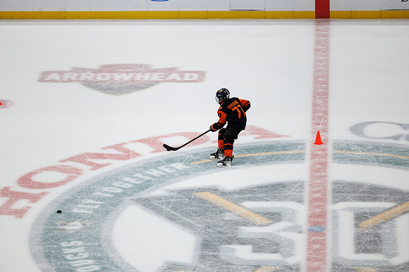 040524_ANAHEIM_DUCKS_0736