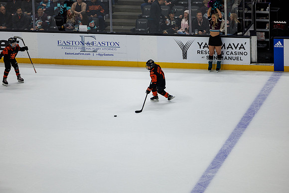 040524_ANAHEIM_DUCKS_0740